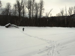 Прокладываем лыжню по реке