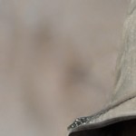 Аватар профиля 