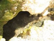 Ручеек, вытекая из скалы, образует маленькое озерцо с прозрачной водой, и течет дальше