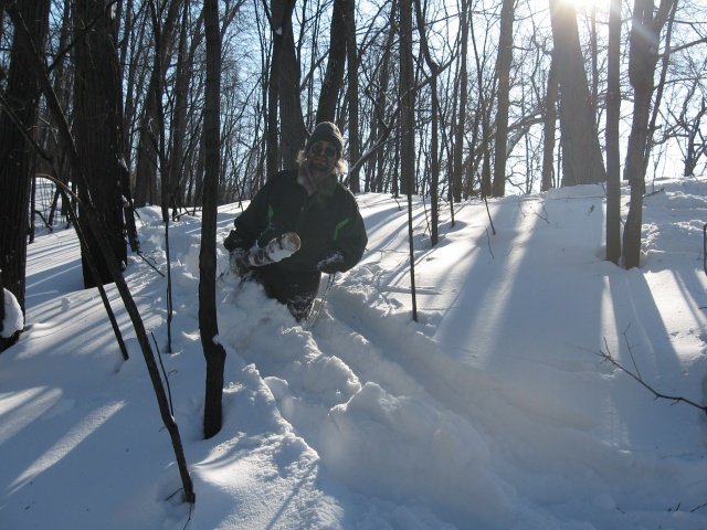 Заготовка дров Заготовка дров