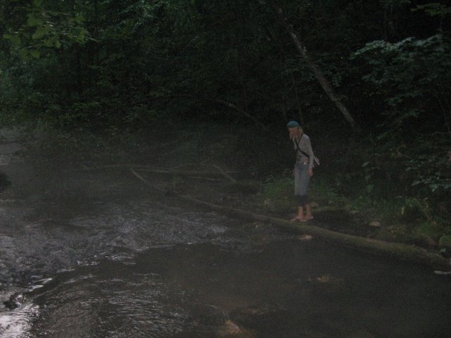 По скользкому бревну. Все равно в воду упала По скользкому бревну. Все равно в воду упала