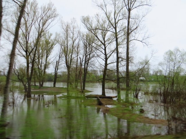 Инзер разлился. Апрель 2016 Инзер разлился. Апрель 2016