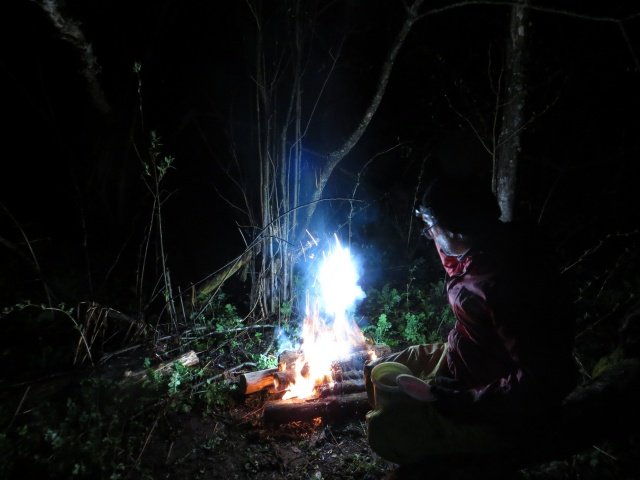 Салют из крошек магния Салют из крошек магния