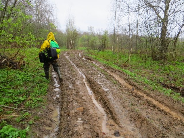 Начало пути Начало пути