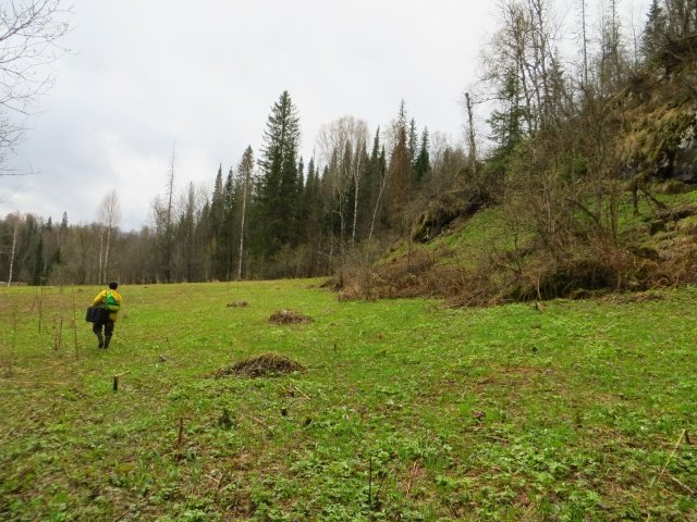 Атышская поляна Атышская поляна