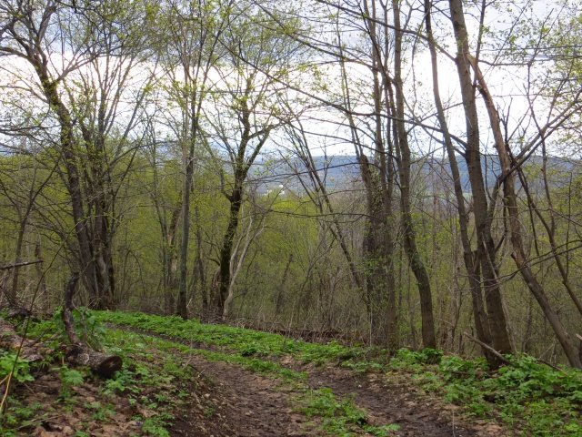 Где-то вдали деревня видна Где-то вдали деревня видна