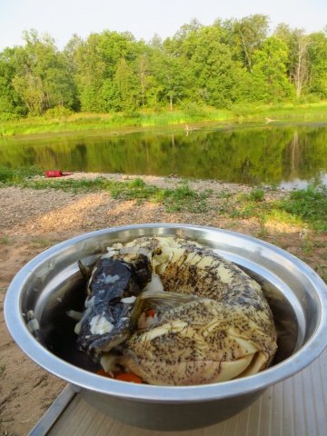 Щука в скороварке на костре. Готова!