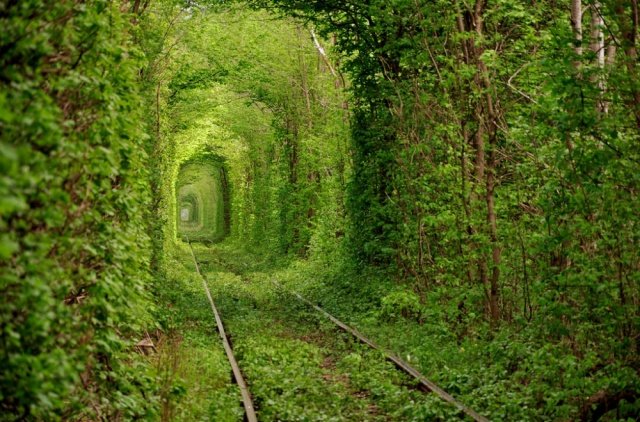 Тоннель любви. Украина