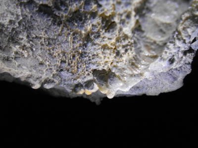 кораллиты в пещере Белая царица