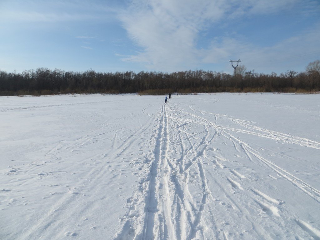 Лыжня по реке