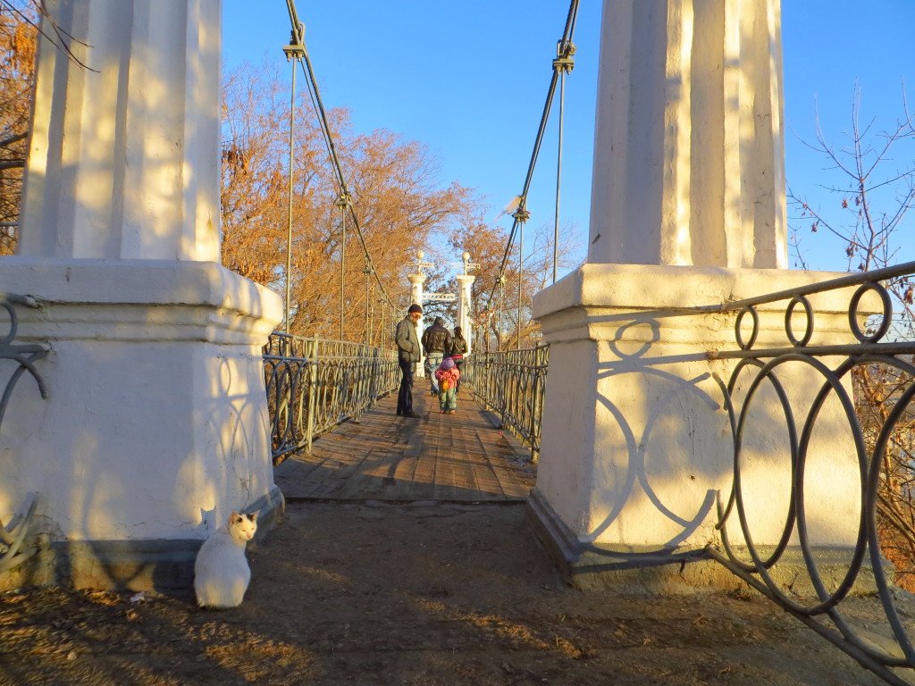 подвесной мостик в саду на Случевской горе