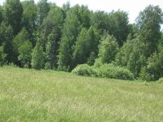  Поляна среди леса - караатышъялан, или черная атышская поляна