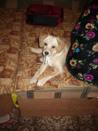 Жуля позирует с сигаретой