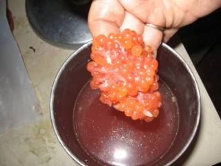 Красная икра