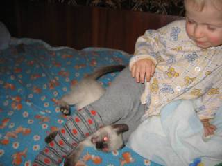 Поймал и грызет!