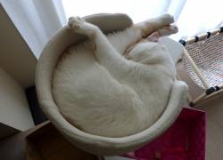 Компактность - страшная сила