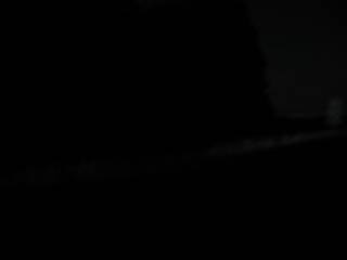 Луч фонаря и освещенное дерево