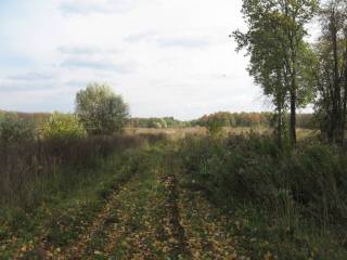 У насыпной дороги вид заброшенный.