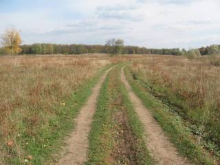 А полевая грунтовка пользуется популярностью.