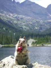 Губки бантиком, ушки домиком... (почти (с))