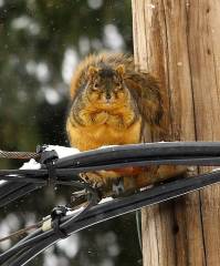 Бррр, ну и холодина.