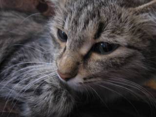 моя Люсенька