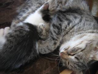 Наигрались и спят