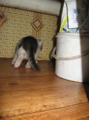 не совсем профиль