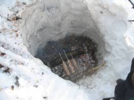 шашлык в красном вине