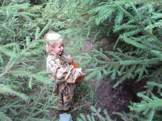 Ма, мотри, рыжики!