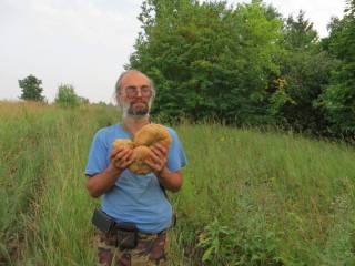 Веер из полубелых