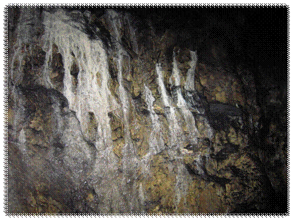 C:\Фото\челябинские пещеры 2012 12-16 июля\139_1407\IMG_5174.JPG