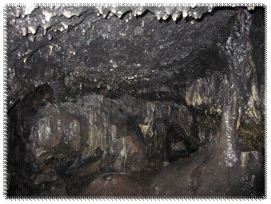C:\Фото\челябинские пещеры 2012 12-16 июля\139_1407\IMG_5211.JPG
