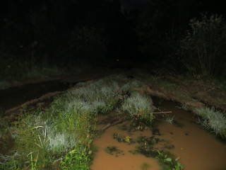 Почти вся дорога с Тау к Михайловке напоминала болота с ямами