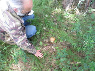 Гриб под дубом нашли